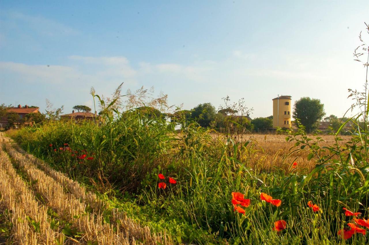 Il Silos Maccarese Exteriér fotografie