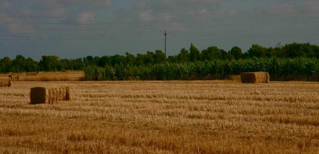 Il Silos Maccarese Exteriér fotografie